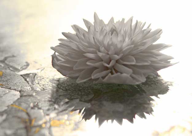 porcelain-flowers1 dahlia porcelain flowers